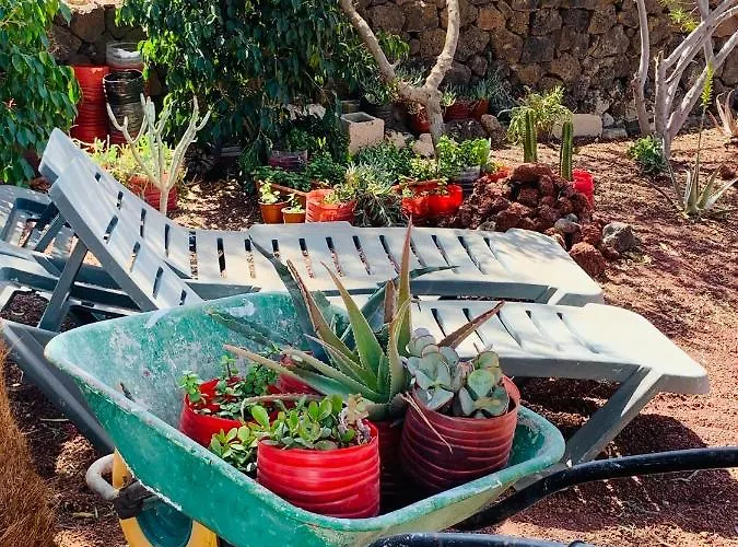 Artsy Casa Timanfaya, 플라야블랑카