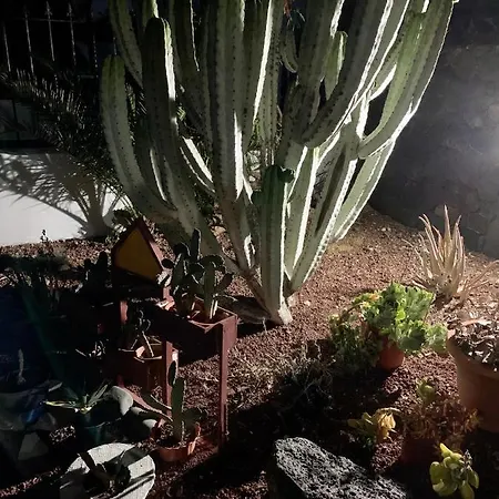 Artsy Casa Timanfaya,