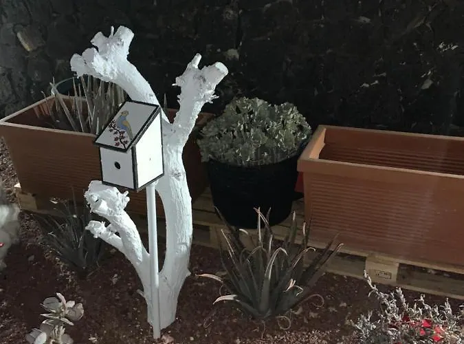 Artsy Casa Timanfaya, 普拉亚布兰卡